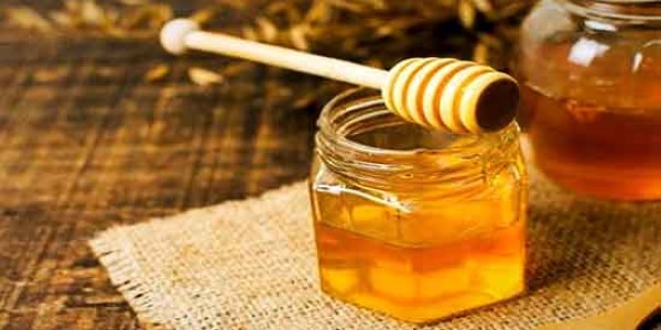 تصویر 5 از خرید و قیمت عسل آویشن کوهی + فروش صادراتی